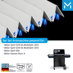 Aromaschienen Edelstahl für Weber 200 2012 Regler...